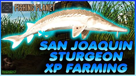 Money Making And XP Farming Sturgeon At San Joaquin Delta Fishing