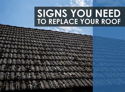 5 Signs You Need To Replace Your Roof