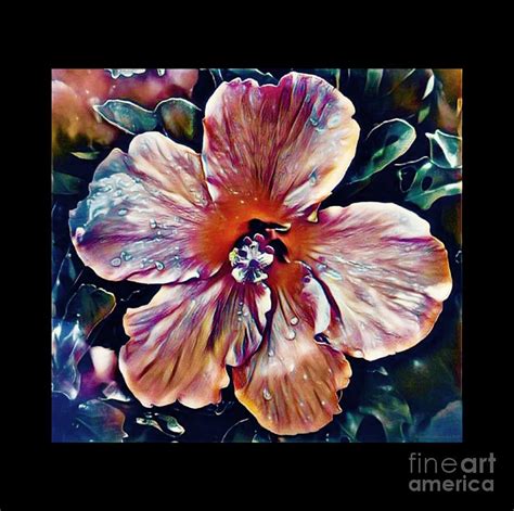 Fleeting Hibiscus Mixed Media By Breena Briggeman Fine Art America