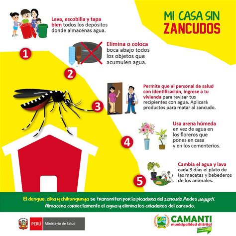 Campa A Contra El Dengue Zika Y Chicungunya Campa As Municipalidad