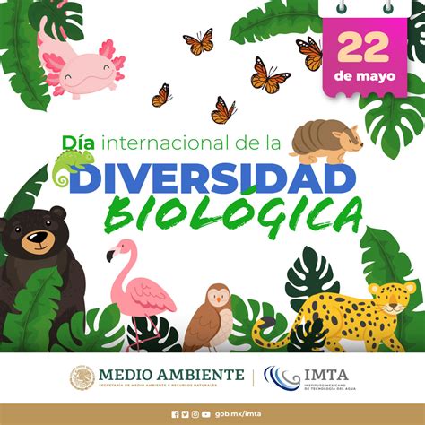 D A Internacional De La Diversidad Biol Gica