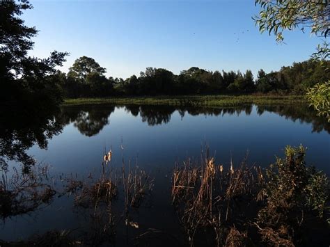 Eagleby Wetlands - Aussie Bushwalking