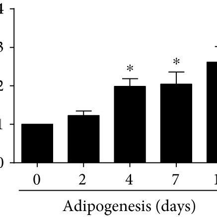 CerK Is Upregulated During Adipogenesis Cells Were Seeded In 6 Well