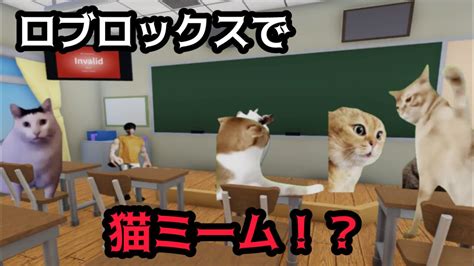 【猫ミーム】ロブロックスで猫ミームになれるんだってよ！猫ミームロールプレイロブロックス Roblox Youtube