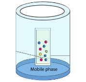 Thin Layer Chromatography For Solvent Separation