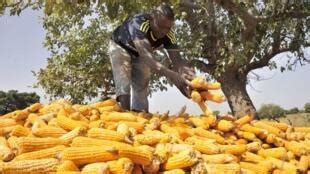 Mali Pr Sentation Des Produits Agricoles Transform S Au Salon De L