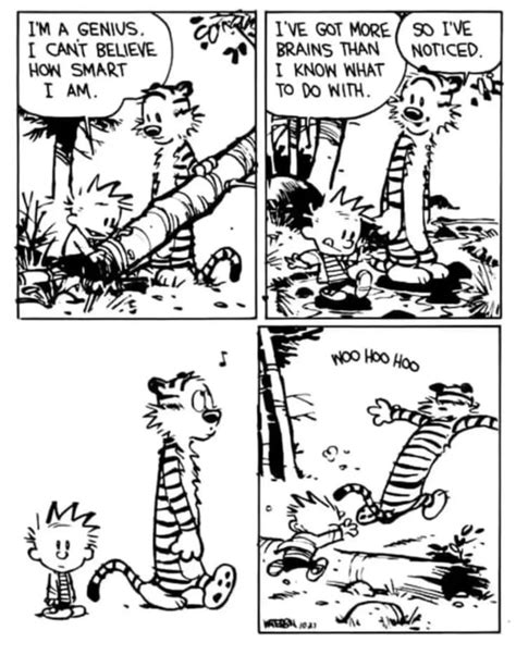 Pin By Lee Jones On Calvin And Hobbes Calvin And Hobbes Humor Calvin