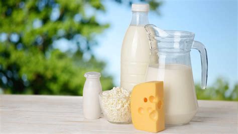 How To Start A Dairy Farming Business In India