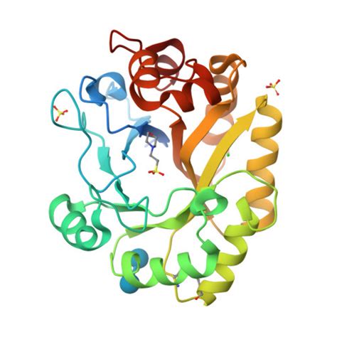 RCSB PDB 6UB3 Crystal Structure Of A GH128 Subgroup IV Endo Beta 1