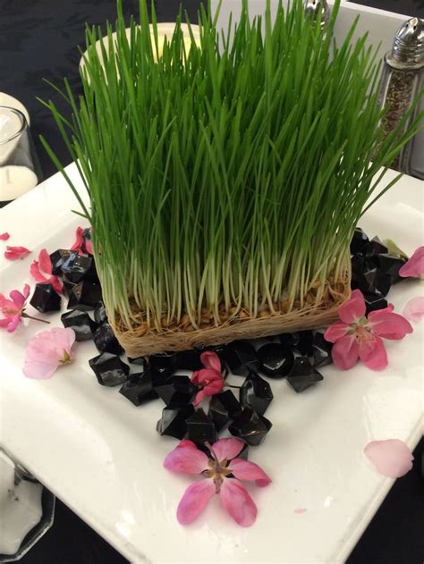 Wheat Grass Centerpiece Grass Centerpiece Wheat Grass Centerpiece Centerpieces