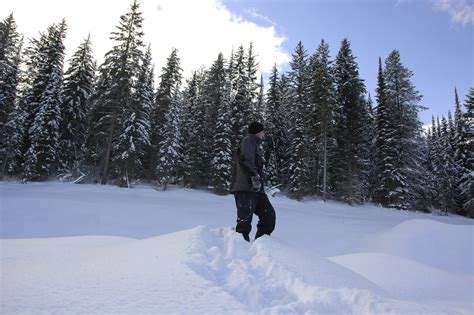 Snowshoeing on the Mill Trail in Stowe, Vermont. 1-day trip. Certified ...