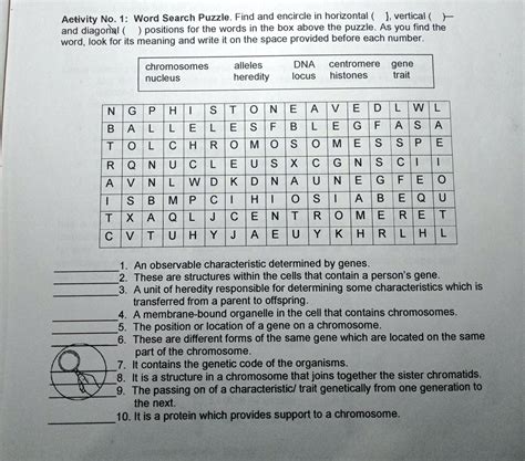 Activity No 1 Word Search Puzzle Find And Encircle In Horizontal