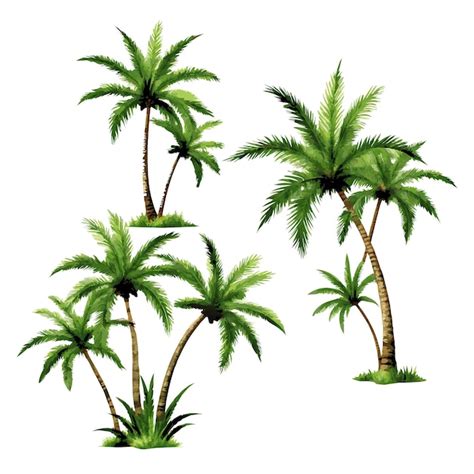 Plantas Del Bosque Tropical Conjunto Realista De Palmeras De Coco Con