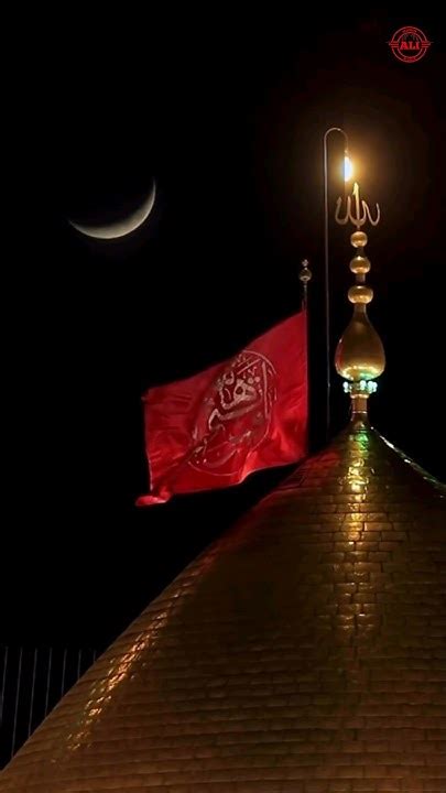 Karbala Janay Walon Mirhasanmir New Noha202414445 Whatsapp Status