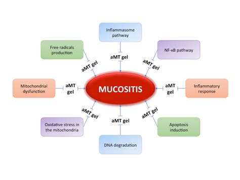 oral mucositis symptoms  treatment