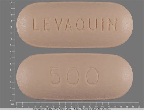 Pill Identifier Oval N Images