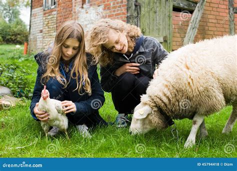 Children on the farm stock photo. Image of counryyard - 45794418