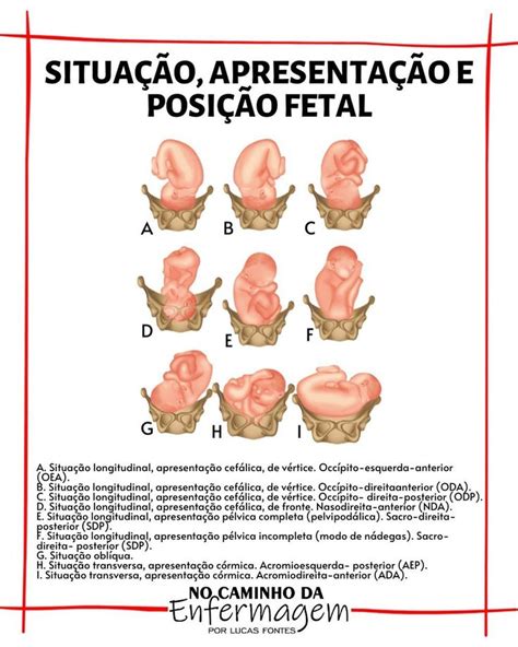 Curtidas Coment Rios No Caminho Da Enfermagem