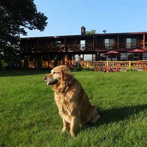 Pet Friendly Lodging In The Adirondacks: Hotels, Campgrounds & More