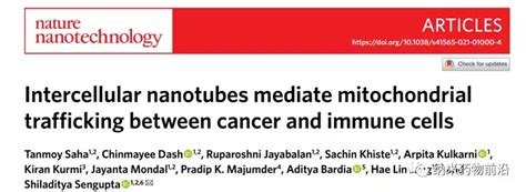【nat Nanotech 】肿瘤免疫逃逸新机制：细胞间纳米管介导癌细胞和免疫细胞之间的线粒体运输 知乎