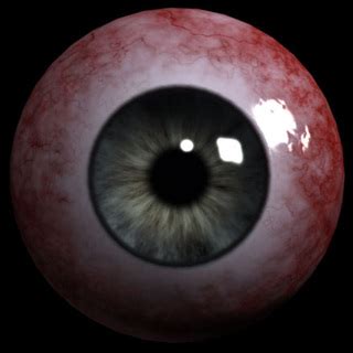 SCP-718 | Eyeball - SCP | Secure. Contain. Protect.