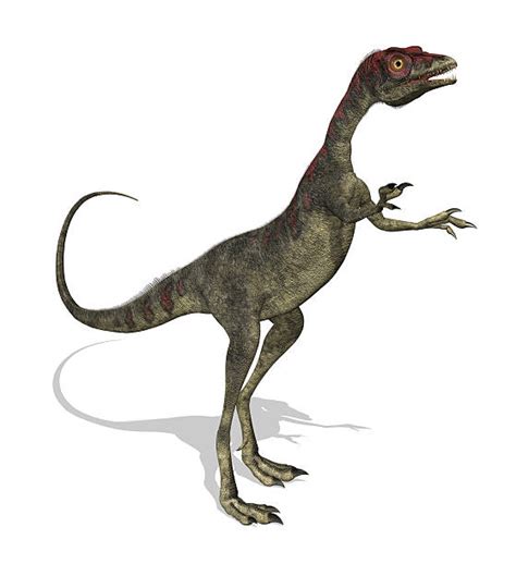 Compsognathus Banco De Fotos E Imágenes De Stock Istock