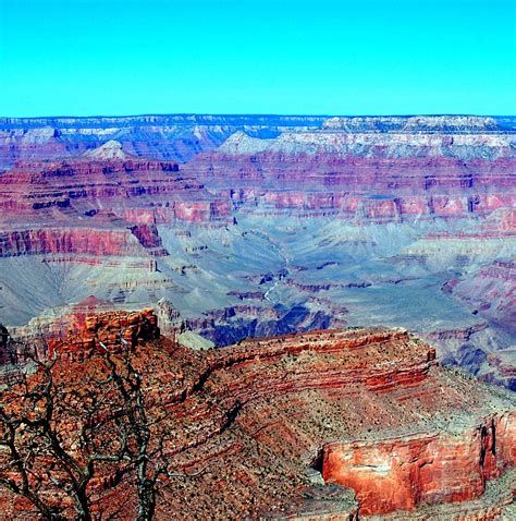 Beautiful Canyon Wall Canyon Grand Canyon Natural Landmarks