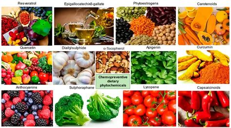 Understanding ORAC Values Antioxidant Levels In Foods