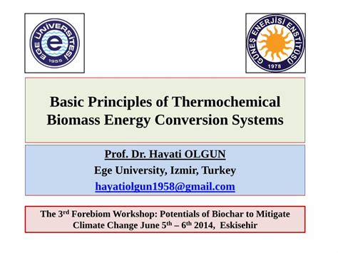 Pdf Basic Principles Of Thermochemical Biomass Energy Conversion