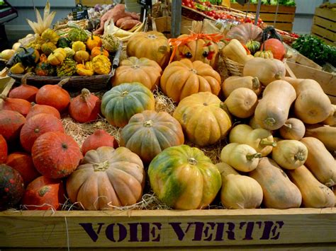 La Courge D Hiver Et La Courge Musqu E Sont Elles Les M Mes