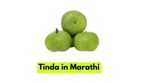 Tinda In Marathi टिंडा म्हणजे काय मराठीत उपयोग व फायदे