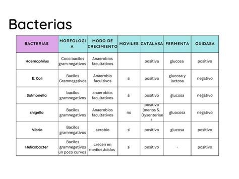 bacteria arantza isabel ubilla bajana udocz