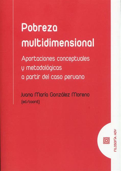 Pobreza Multidimensional J M GonzÁlez 9788413697147