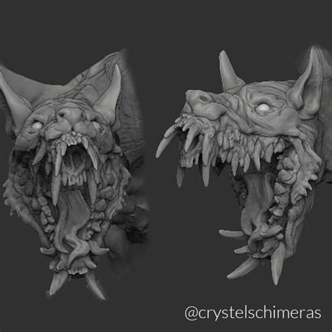 morphology drawing life