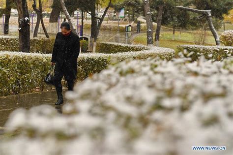 Snow Falls In Ne China S Jilin China Org Cn