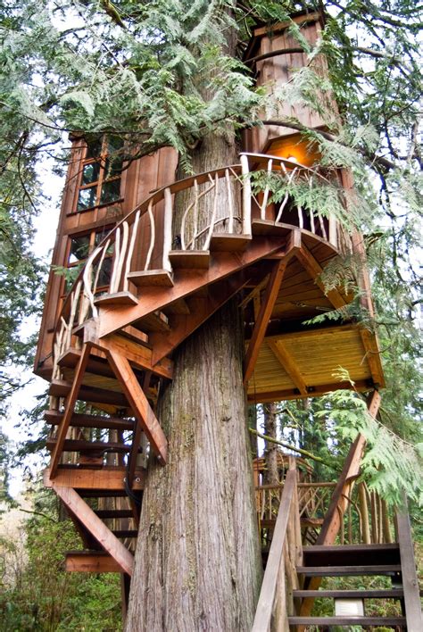 This is something I saw once.: Treehouse Point Weekend, Fall City