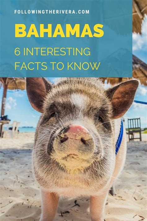 Interesting Facts About The Bahamas 6 Useful Things To Know Otosection