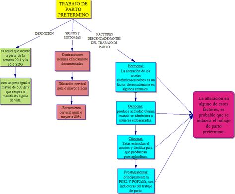 Mapa Conceptual Del Aparato Reproductor