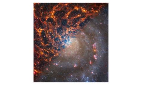 NASA S Webb Depicts Staggering Structure In 19 Nearby Spiral Galaxies