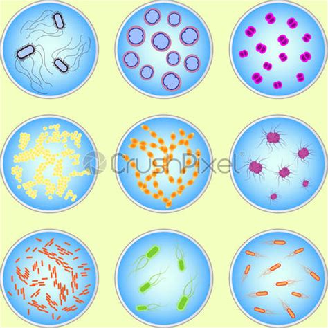 Gestileerde Afbeelding Van Verschillende Soorten Bacteriën Stock