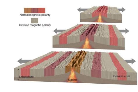 Theory Of Plate Tectonics And Seafloor Spreading Evidence Upsc Ias