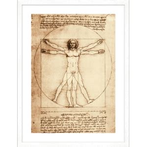 Quadro Stampa Su Tela Leonardo Da Vinci L Uomo Vitruviano