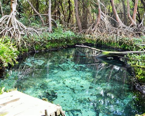 Visita Bi Sfera De Los Petenes Campeche Ruta Mx