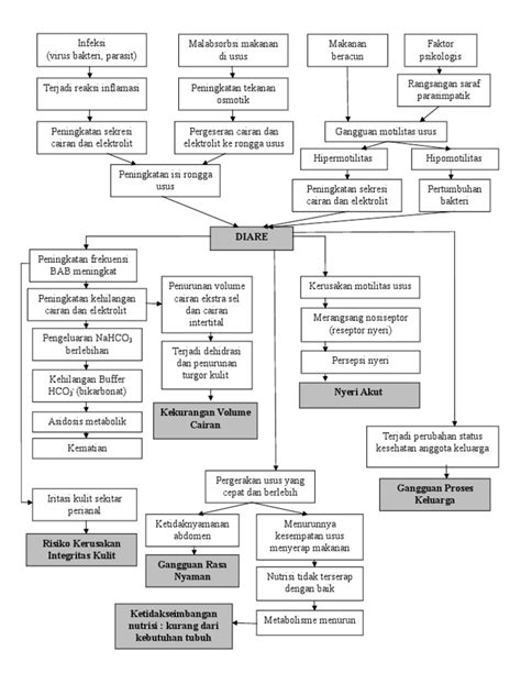 Pathway Diare Pdf