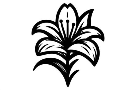 A Lily Flower Vector Black Silhouette Graphic By Kamolray Creative