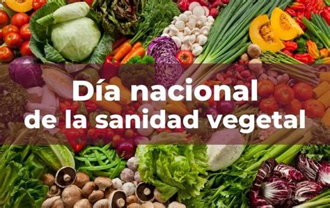 D A Nacional De La Sanidad Vegetal Control Y Prevenci N De Plagas