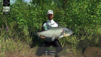 Buy The Fisherman Fishing Planet PC Steam Key Cheap Price ENEBA