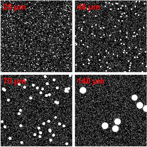 images   sizes   large particles   tracer