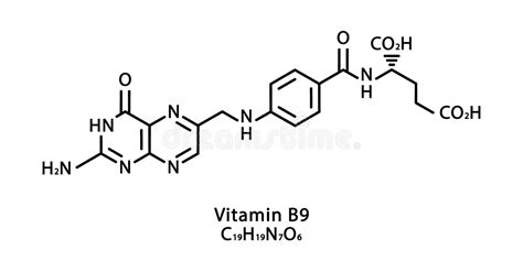 Vitamin B9 Folic Acid Molecular Chemical Formula Infographics Vector Illustration On Isolated