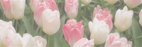 floral header 3 | Twitter header pink, Cute headers for twitter, Pink ...